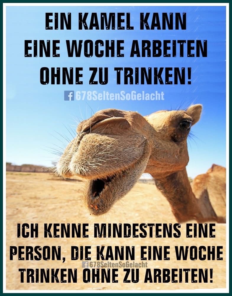 2874552e-7a9b-4cdd-afec-8e552653485e.jpeg