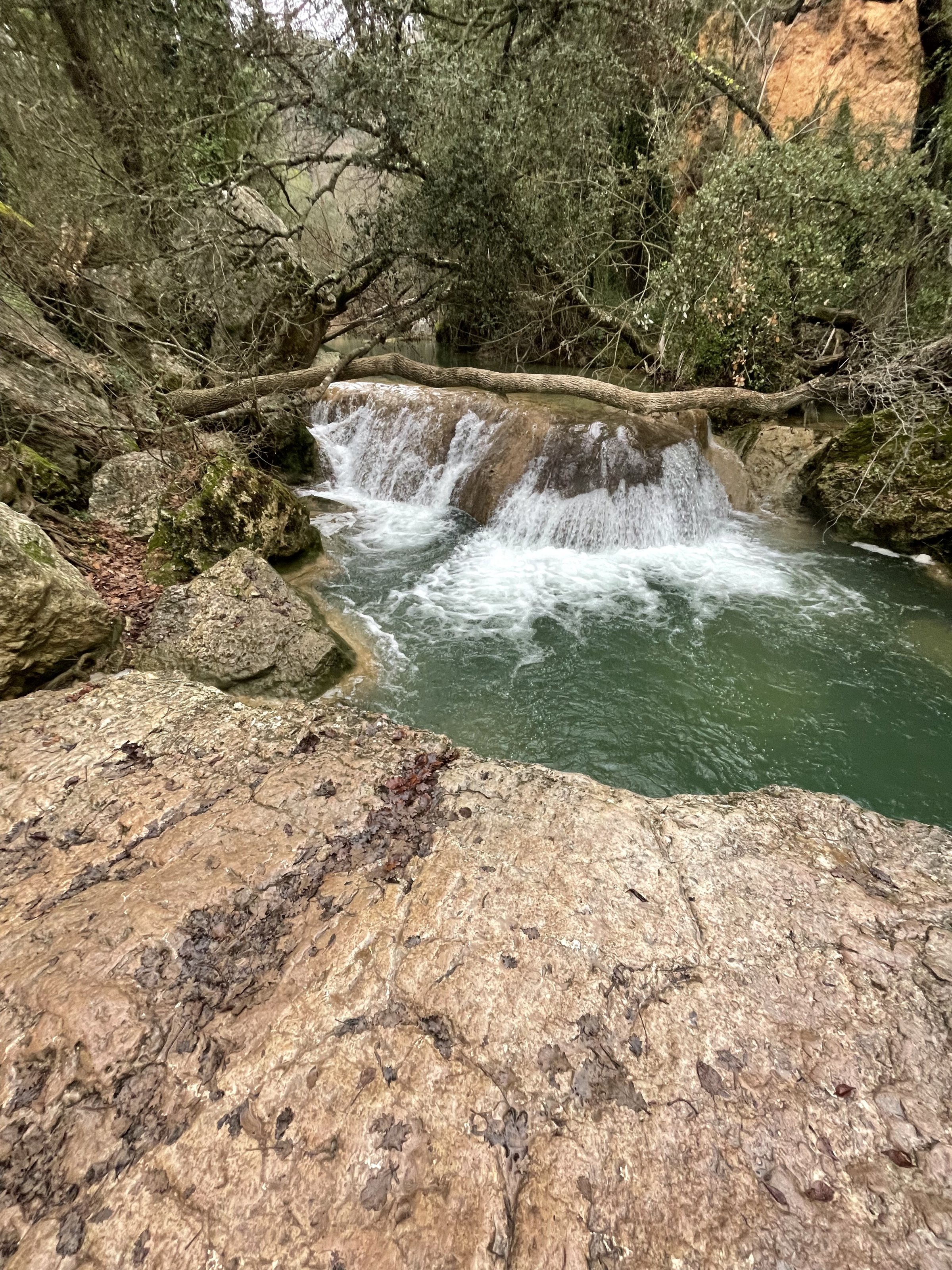 2B573D18-9DF1-4F3E-ACBD-DF5942269FF5.jpeg