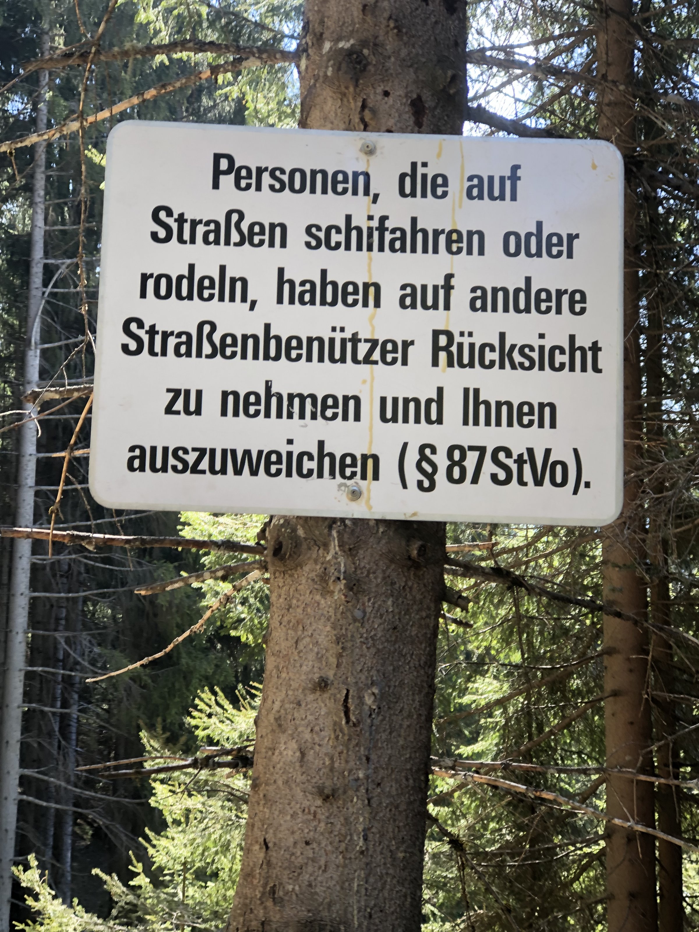 2FAD6B69-7DB3-4DBD-B865-9BDF1B940411.jpeg