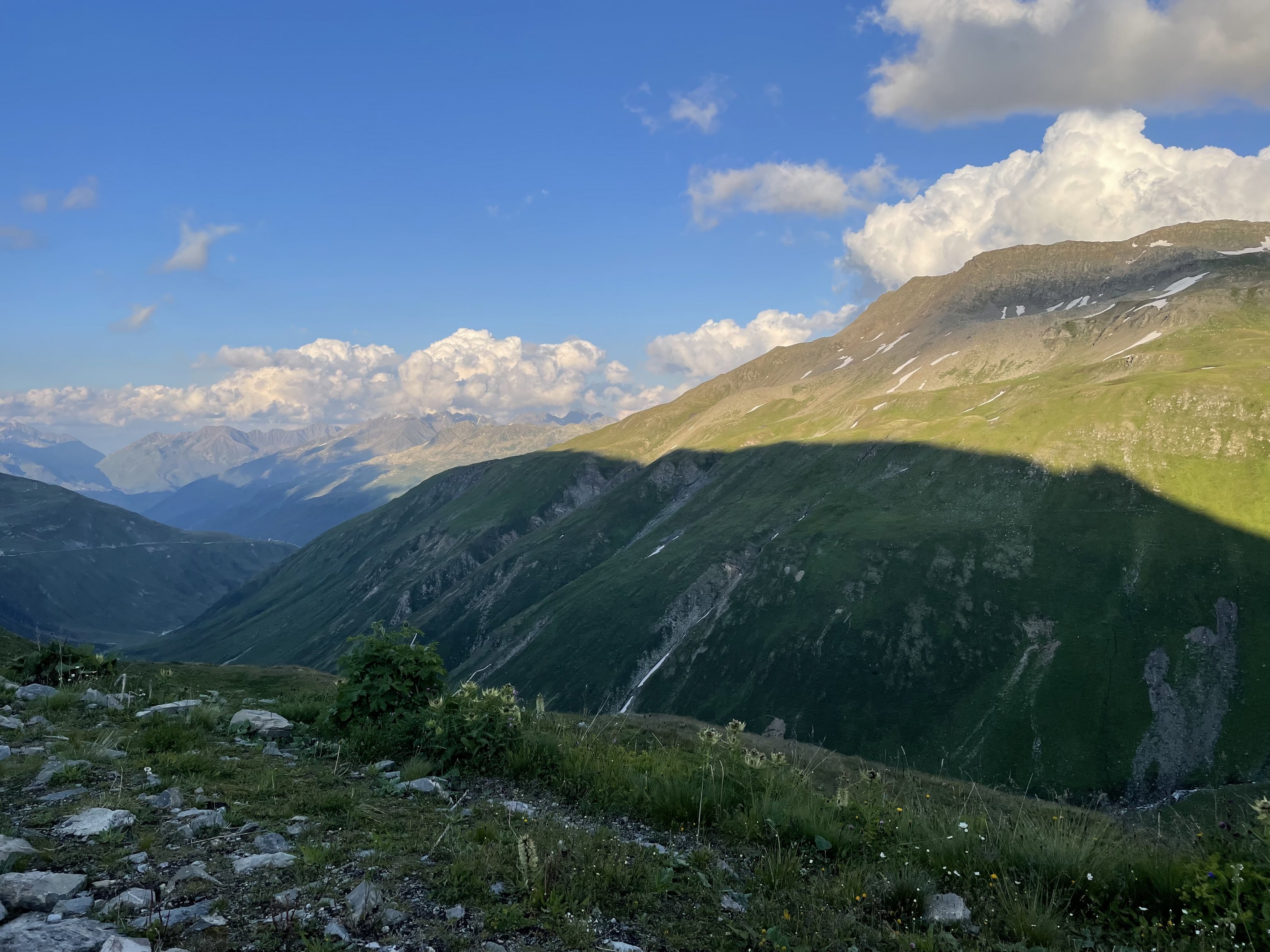 386FF559-5AD3-40E8-A737-A71818501B76.jpeg