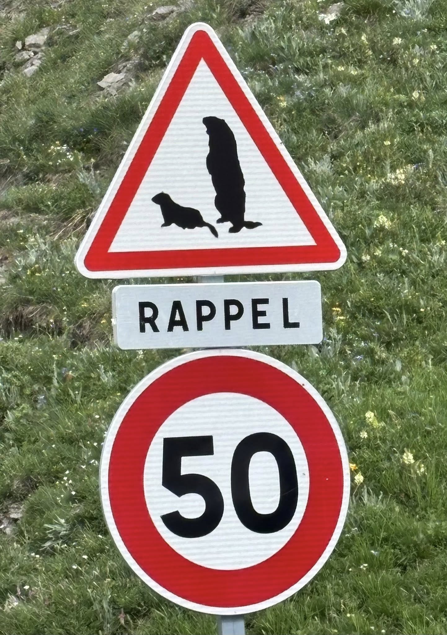 506704553_2133880330422460_7247746180045703343_n.jpg