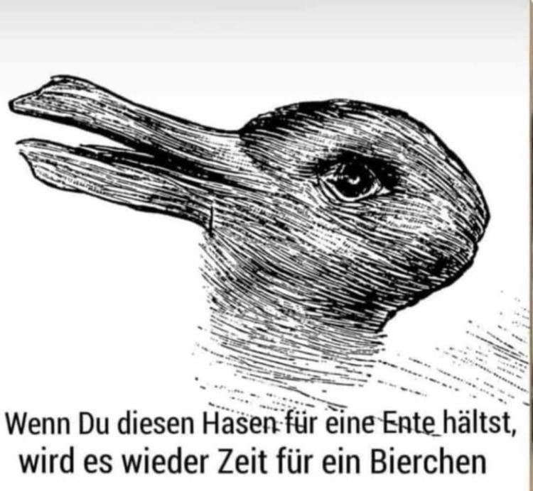 52e01816-7d7b-4f70-893b-3dd24c77a6de.jpeg