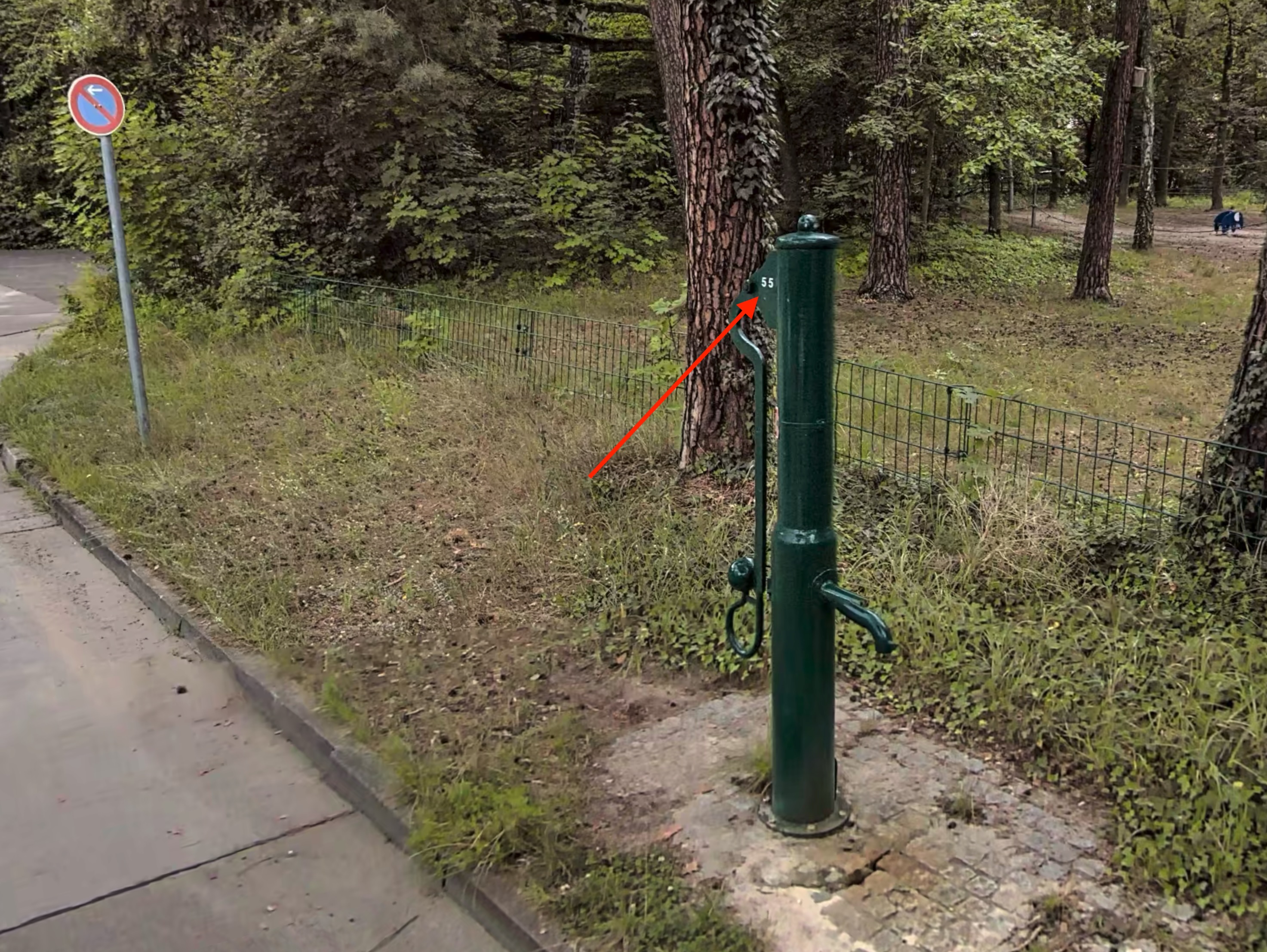 55.jpg