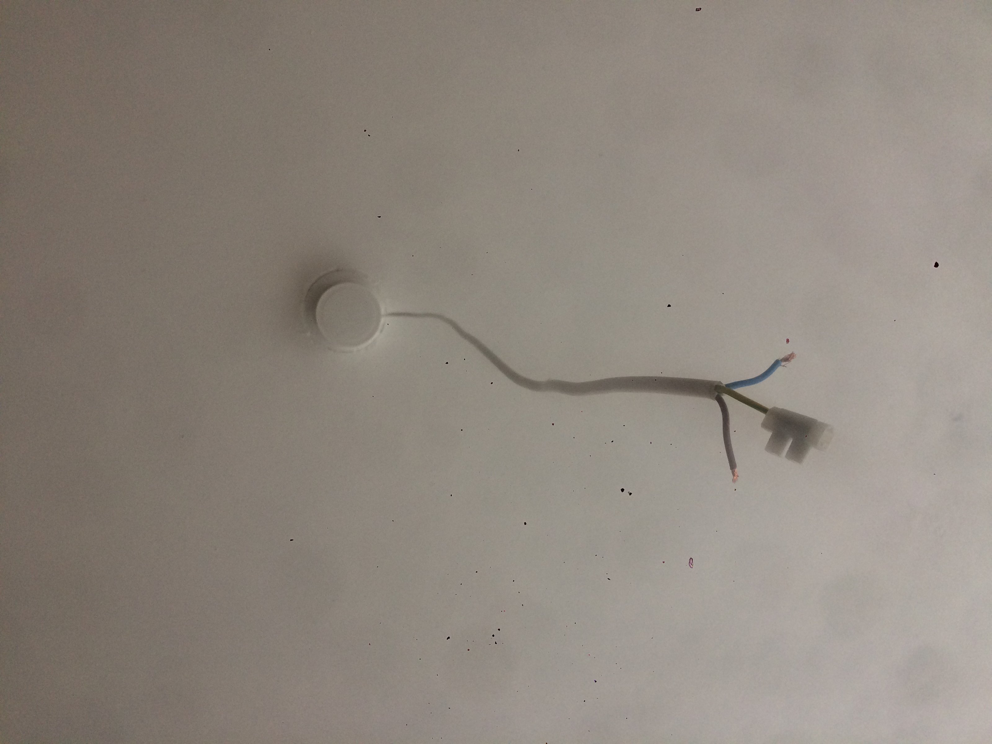 5C184779-5D32-4040-A807-C6C7E6EF8E9A.jpeg