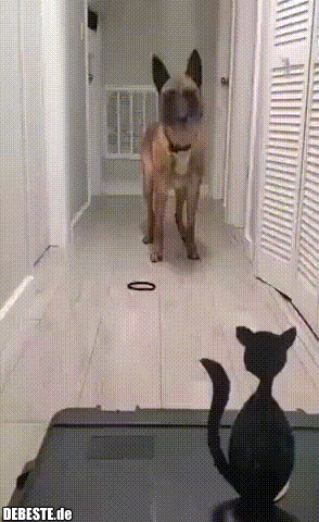 681f0bfb1b1acb24f79f12f373c1a1025255.gif