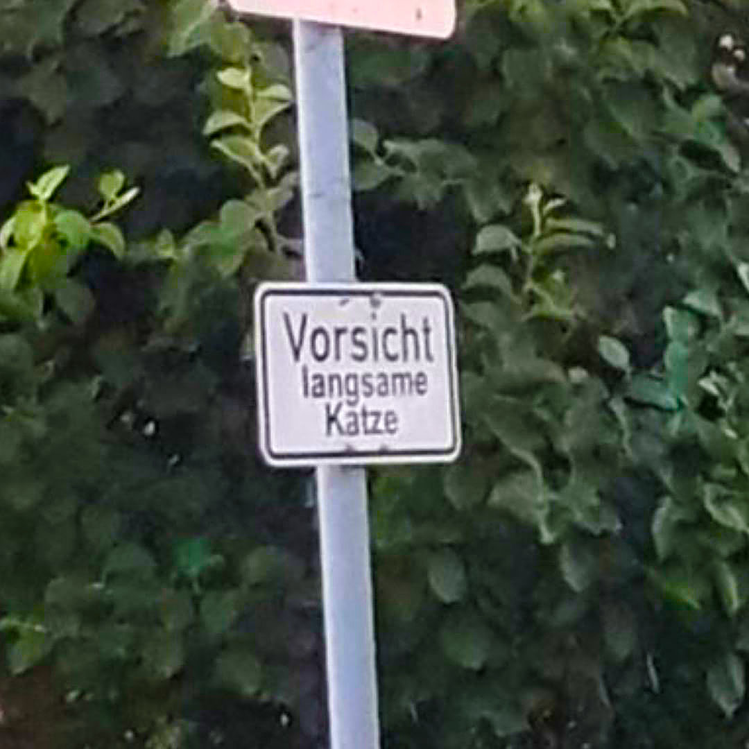 73533220_3147425908665913_5776152339639423518_n.jpg