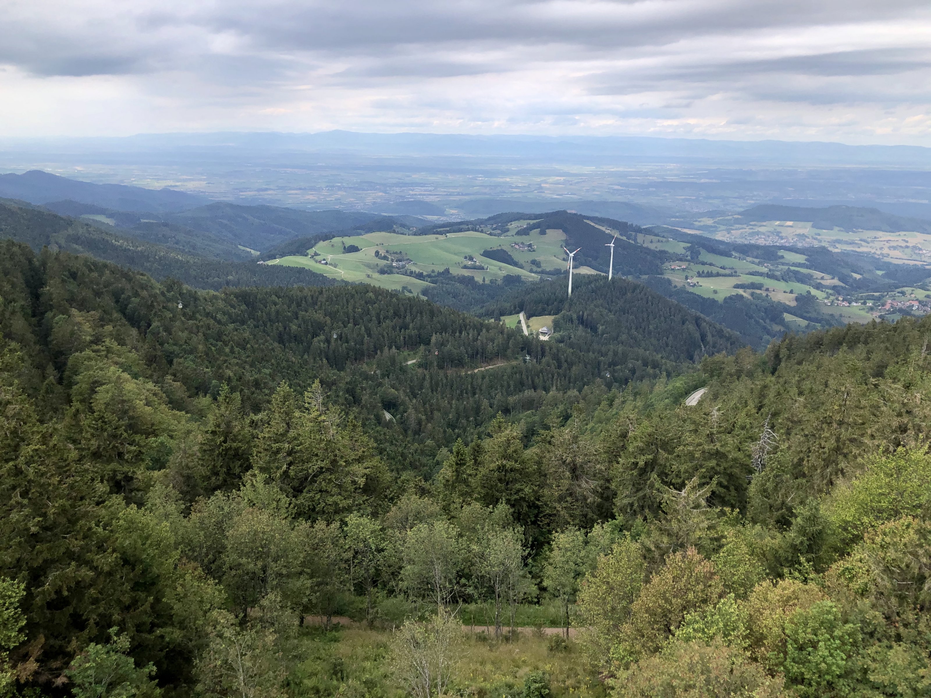 78D4978F-0AE0-4D77-870F-B8314956F021.jpeg