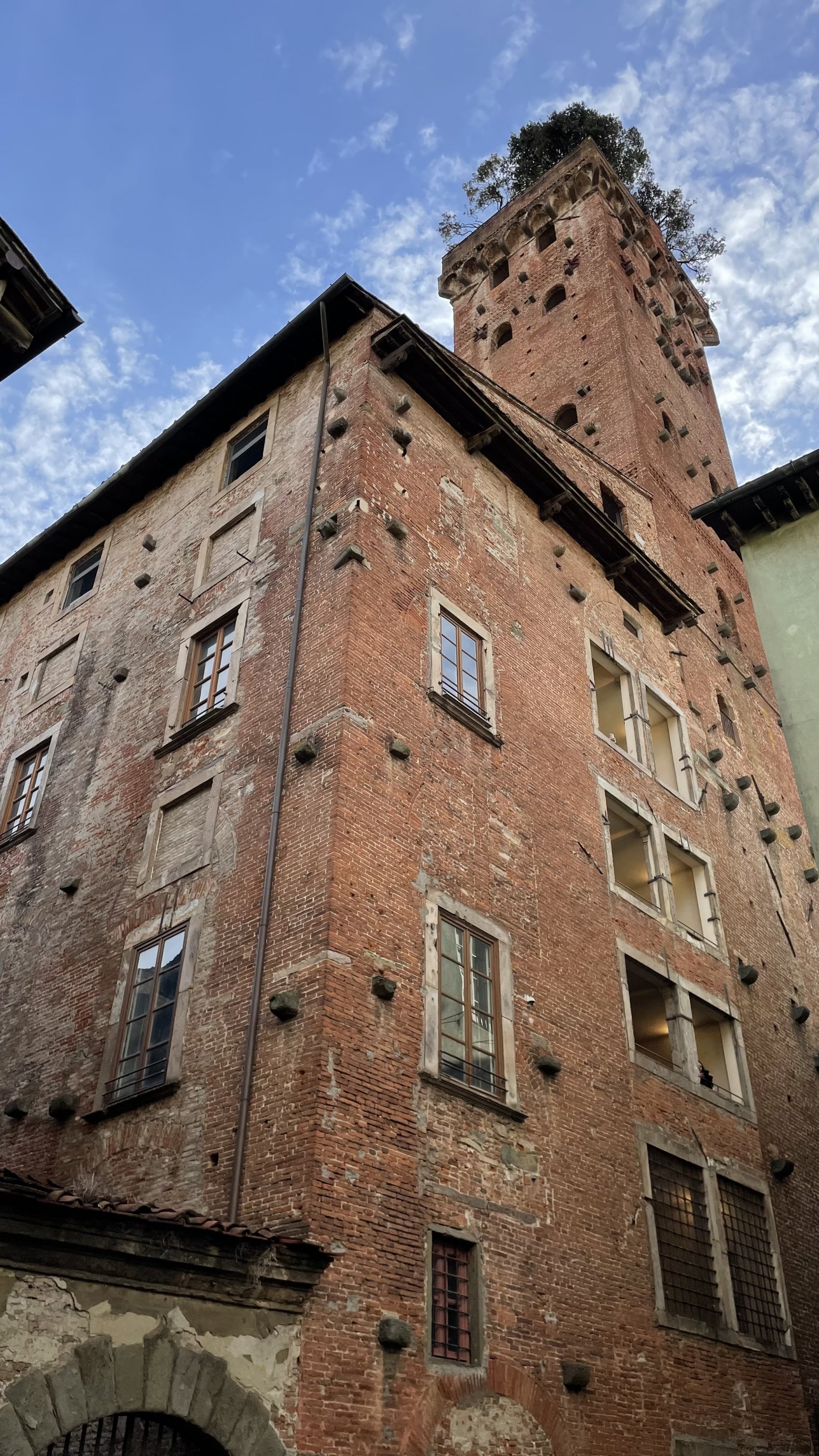 7B6AEF73-BED5-4863-BDD2-759051F66915.jpeg