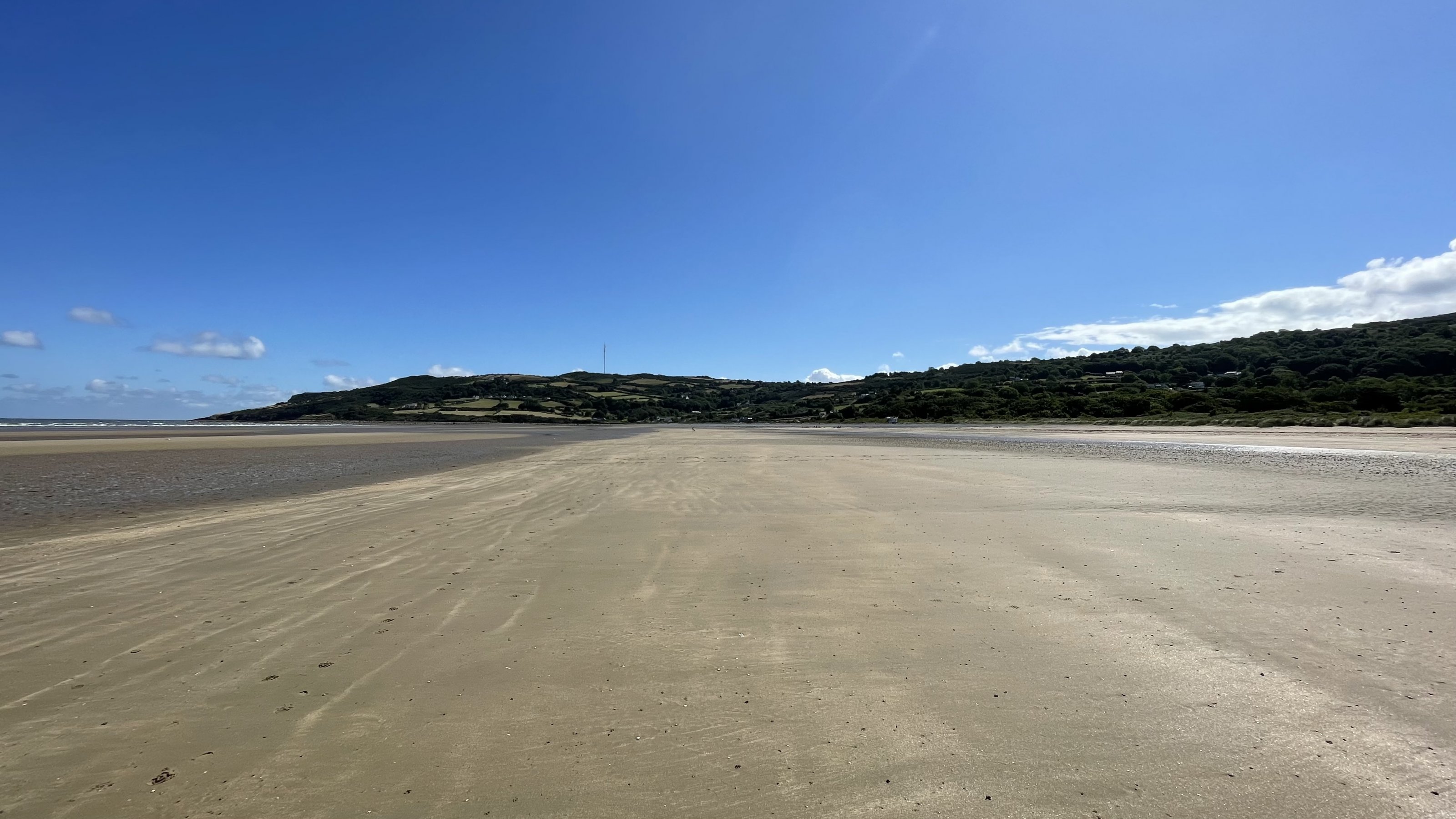 853E218D-ED90-4631-98C7-1D4D594D0591.jpeg