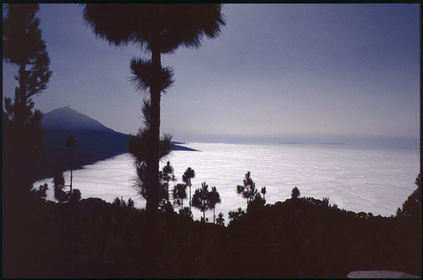 8908-5336.jpg