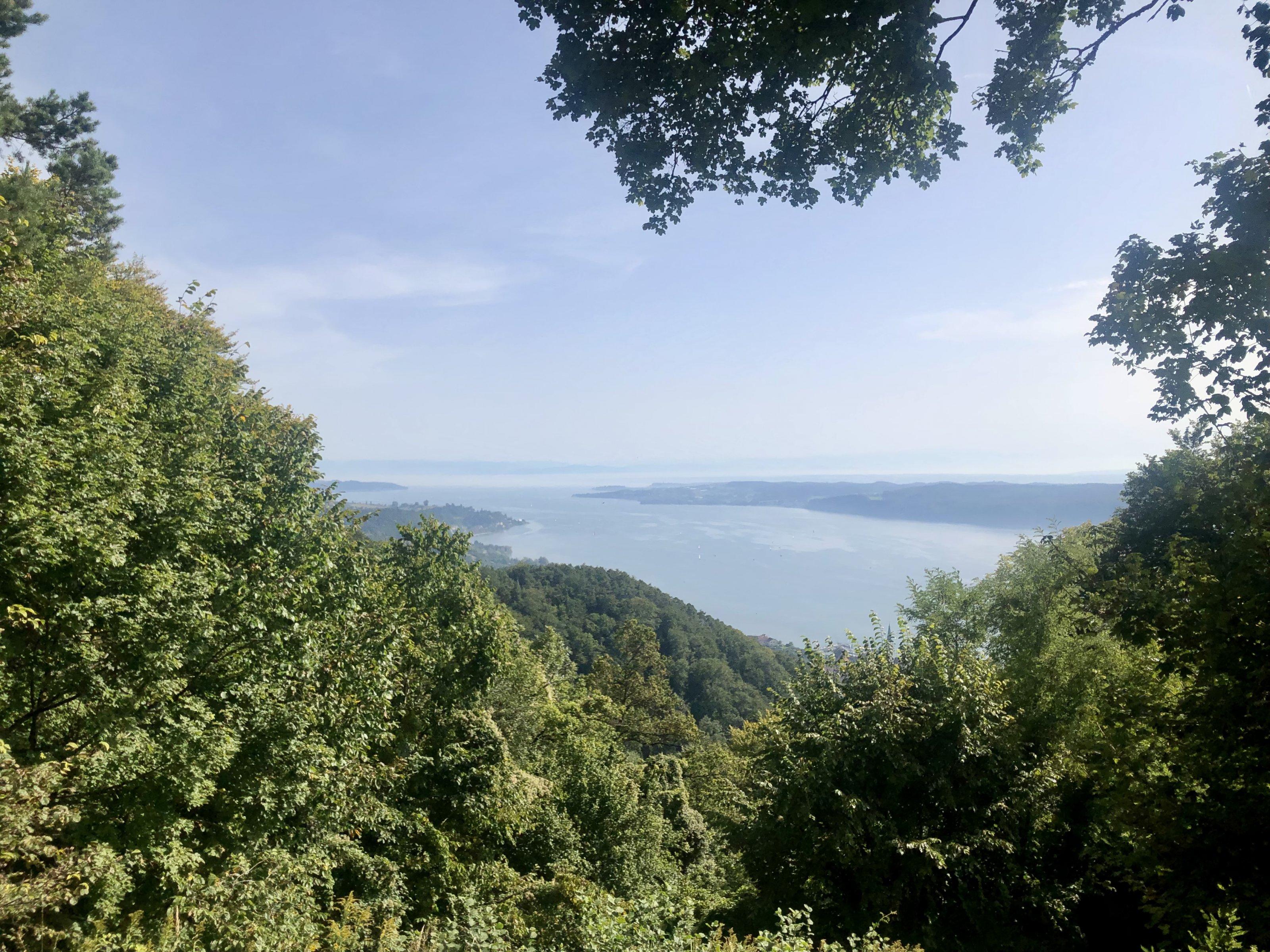 8AA8A55B-18F5-49CA-BBB1-7F1347FA6935.jpeg