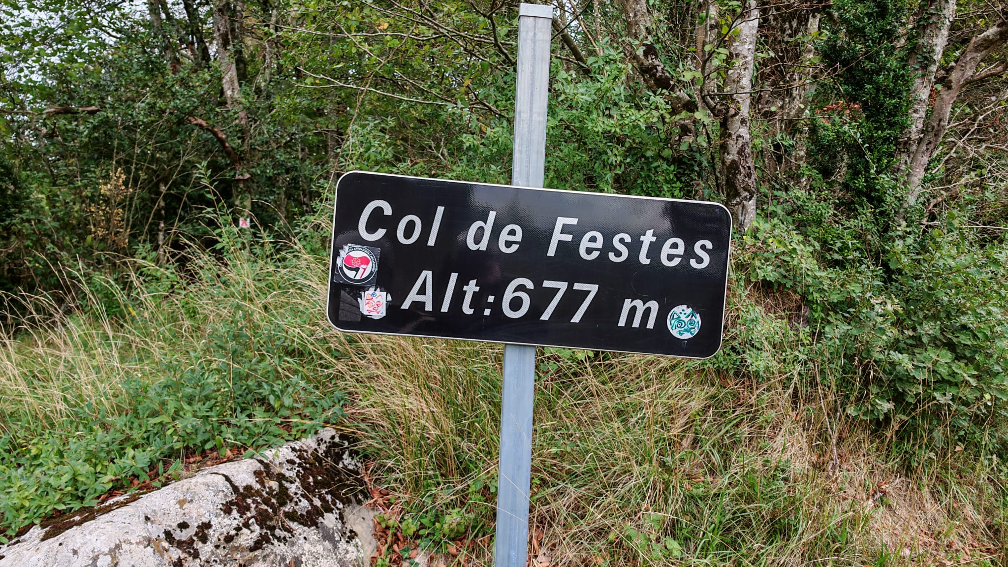 8ef5ede9-db1d-43f1-8602-e271dee59374.jpeg