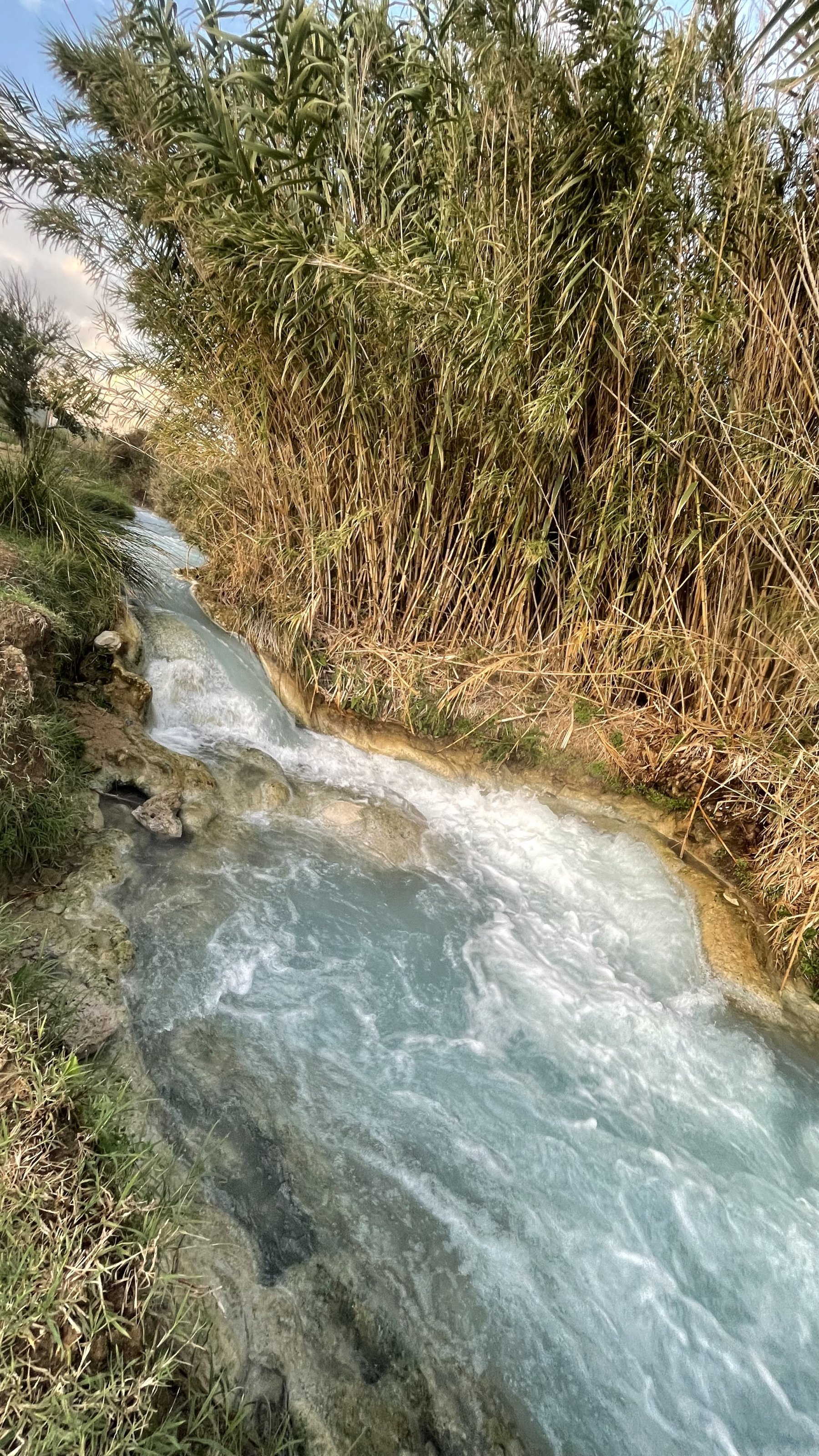 97429D9B-0664-47D5-B569-0AE4C59549DF.jpeg