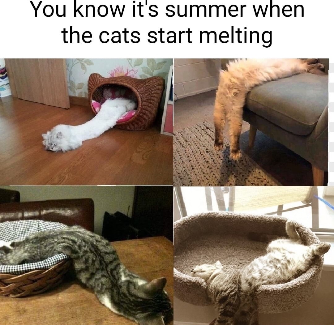 ___07.jpg