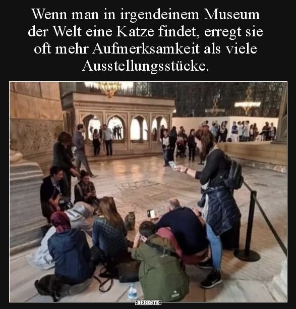 ___114.jpg