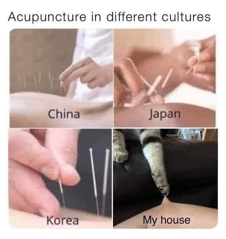 ___28.jpeg
