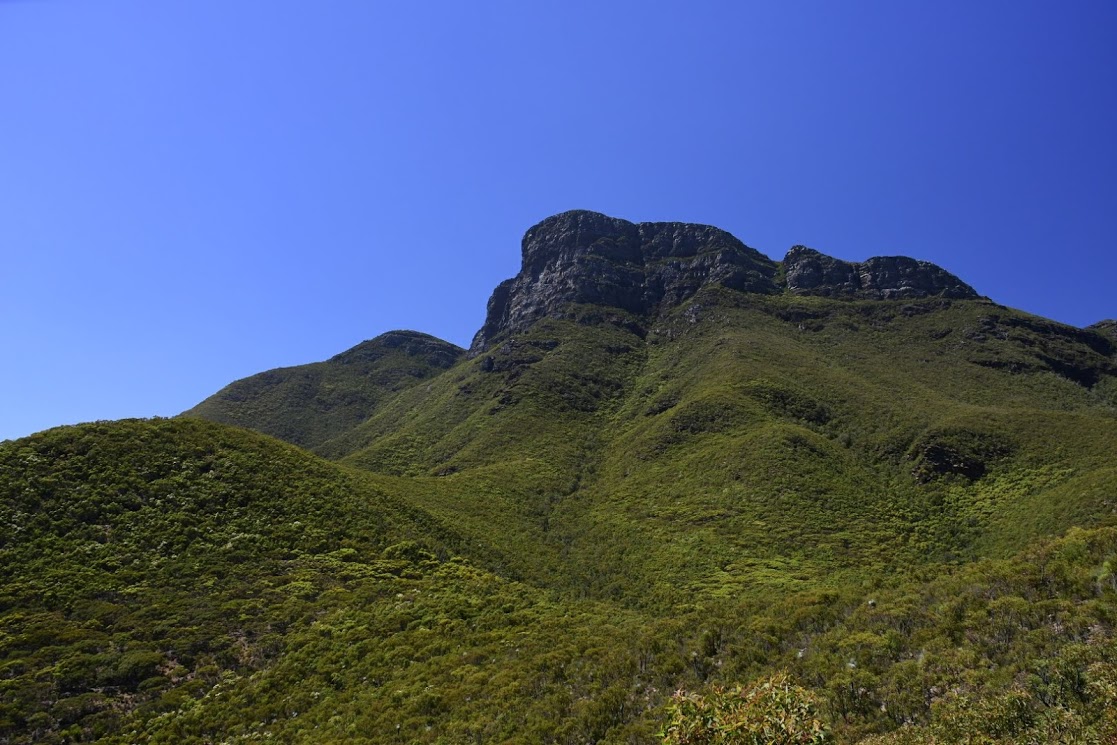 _DSC0553.JPG
