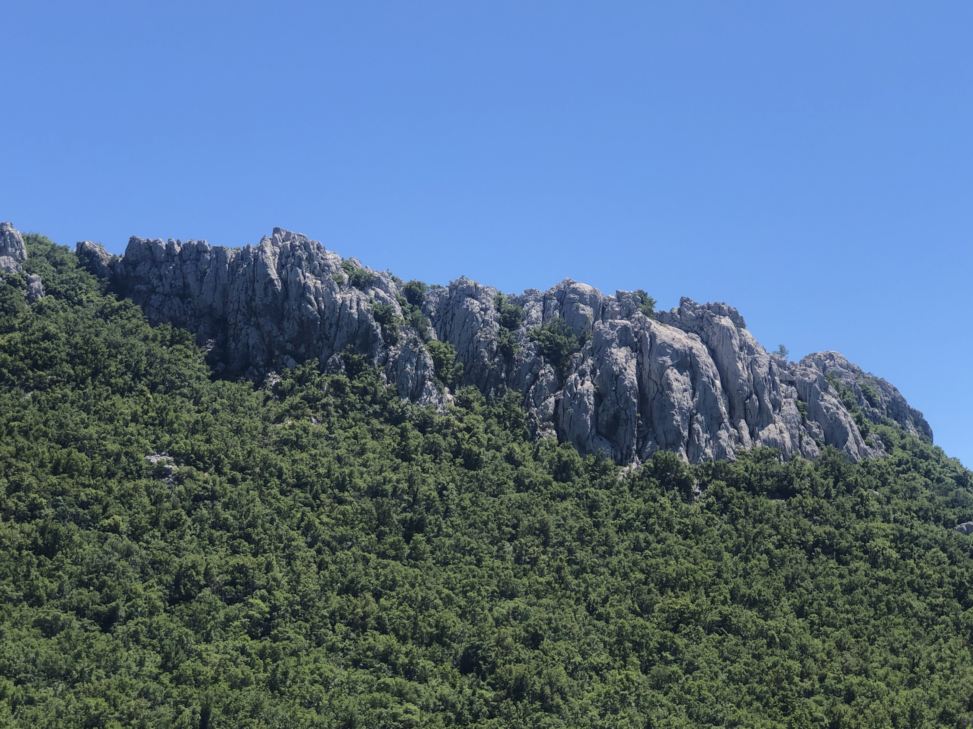 A26A3970-DE02-478B-81D0-5D75BD4C1EFA.jpeg