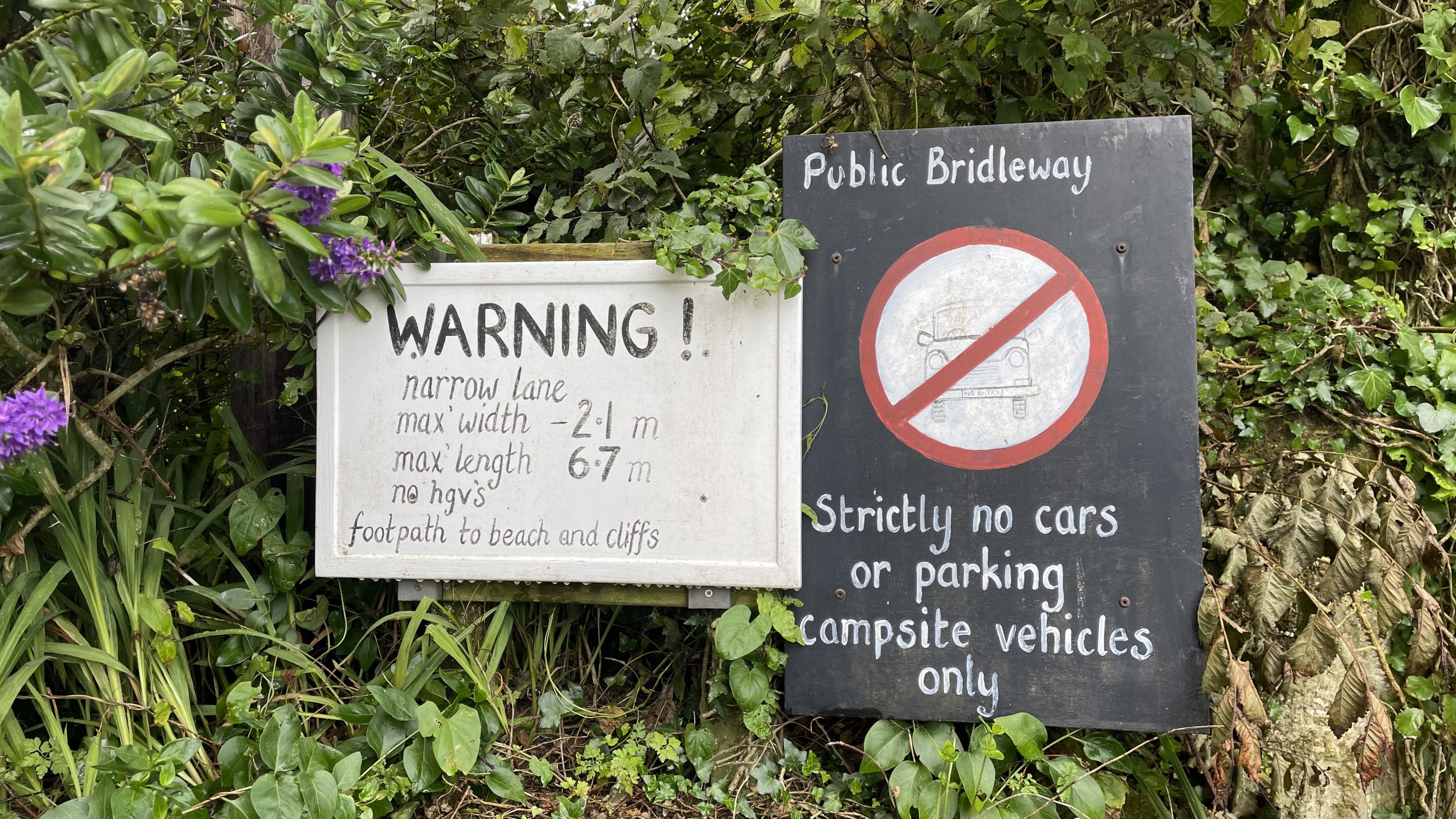 A304B28D-3B33-46BB-AB20-5628FCA01158.jpeg