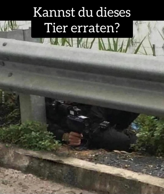 aaa8f427a094476410fb47bb17f05a0d5203.jpg