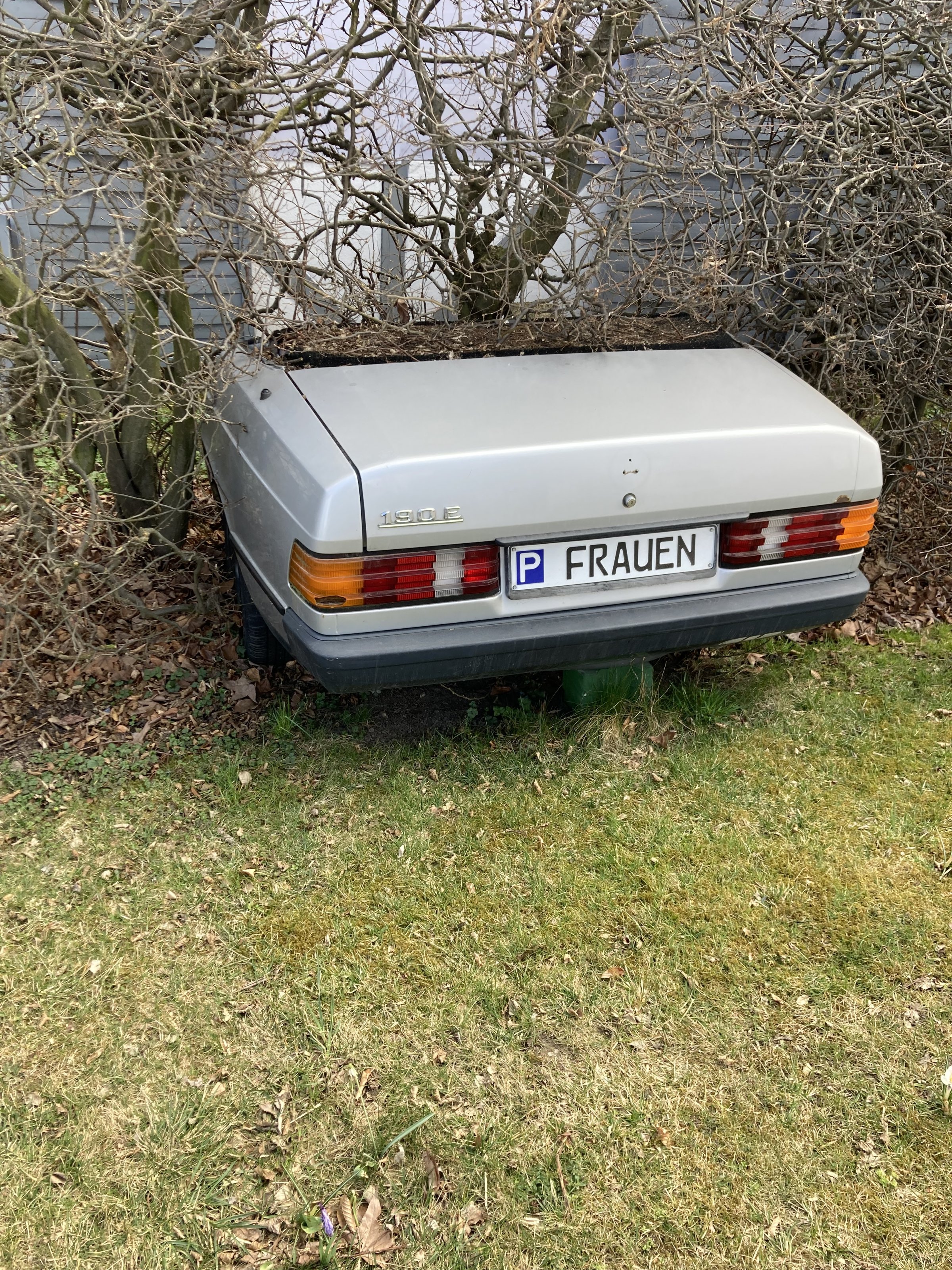 AFCA000D-BC9C-44E0-B5B8-813BDAA8CC89.jpeg