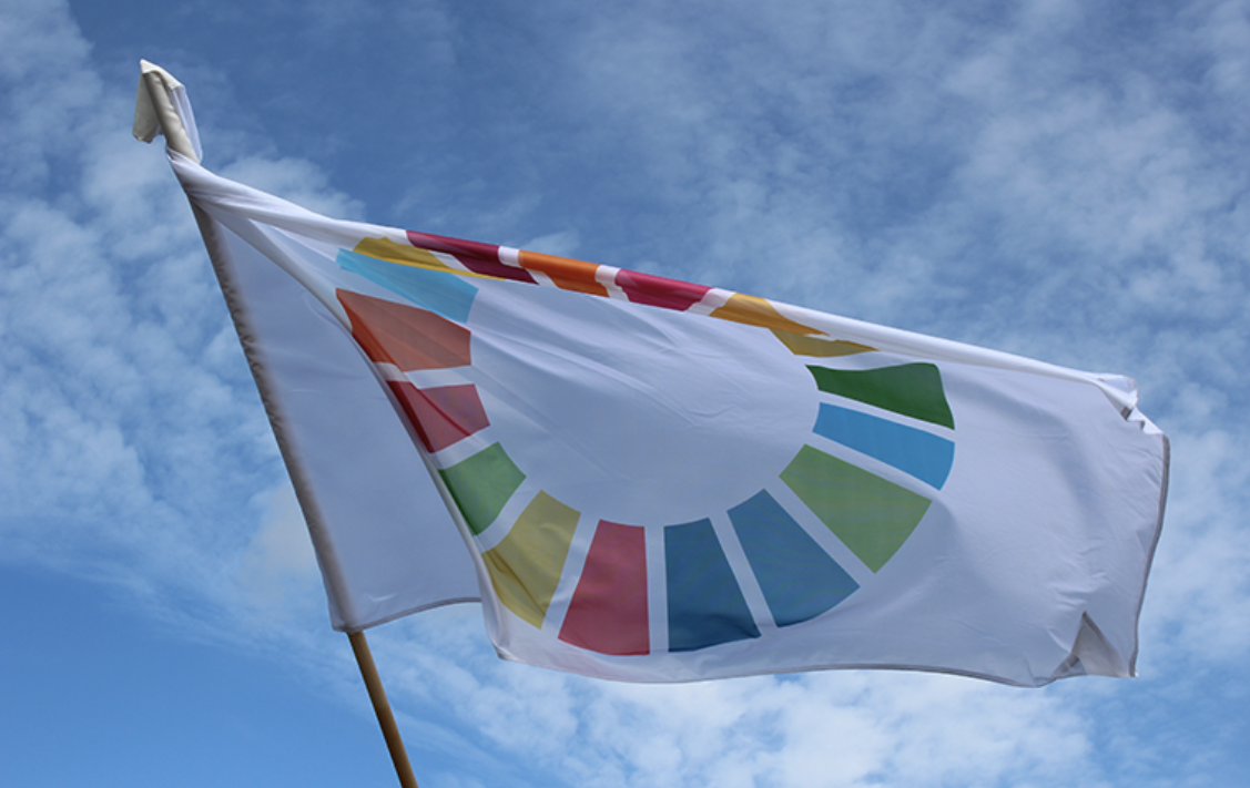 Agenda 2030.png