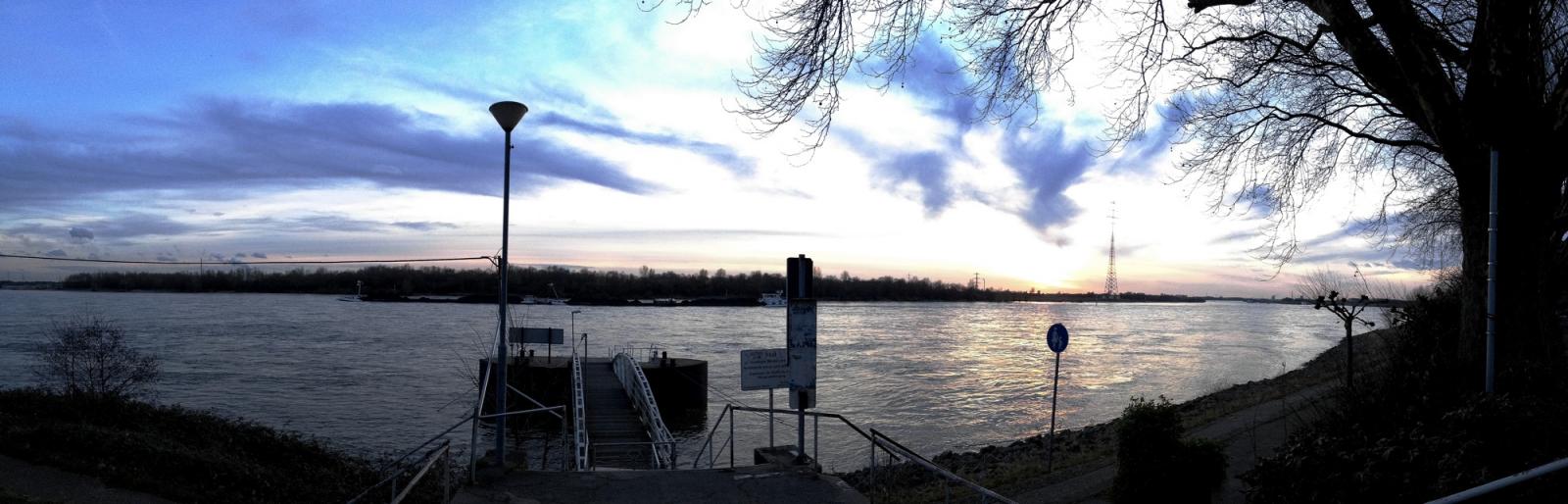 Am Rhein im Januar 2014.jpg