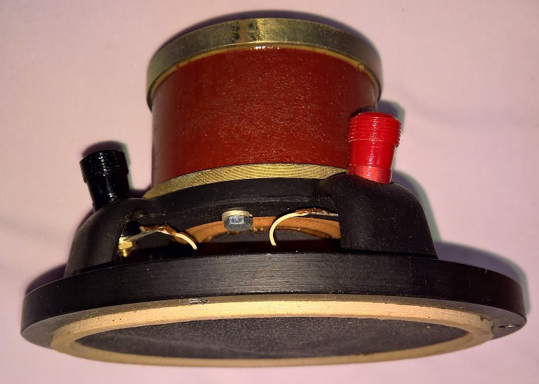 audax-medomex_702631.jpg