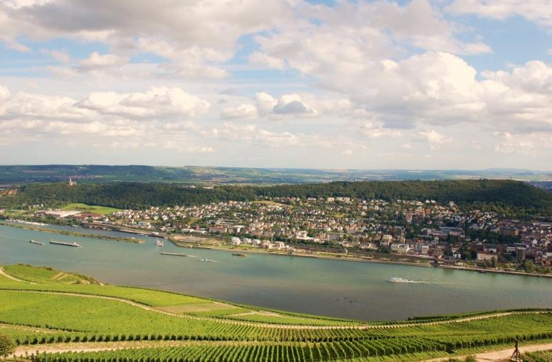 Ausblick vom Niederwald Denkmal.jpg