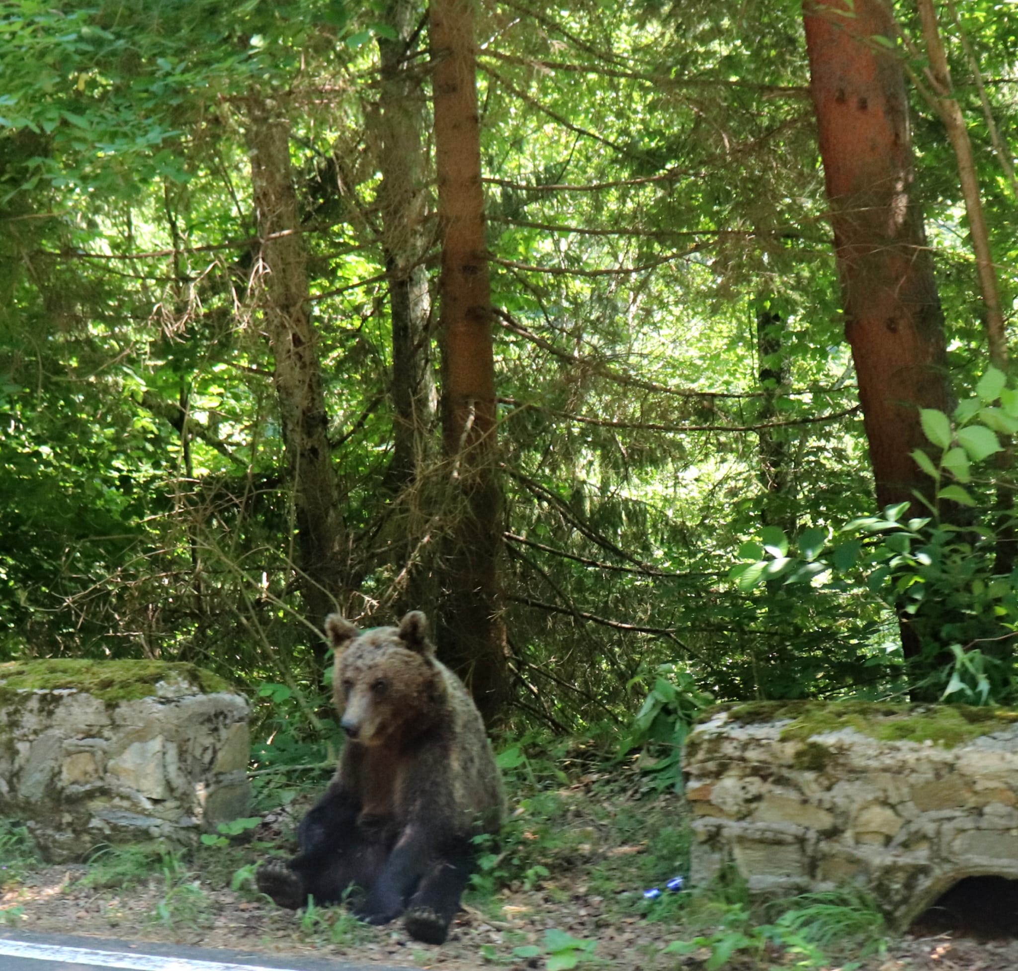 b3496631-e339-4ea4-bfe8-82abd351d075.jpeg