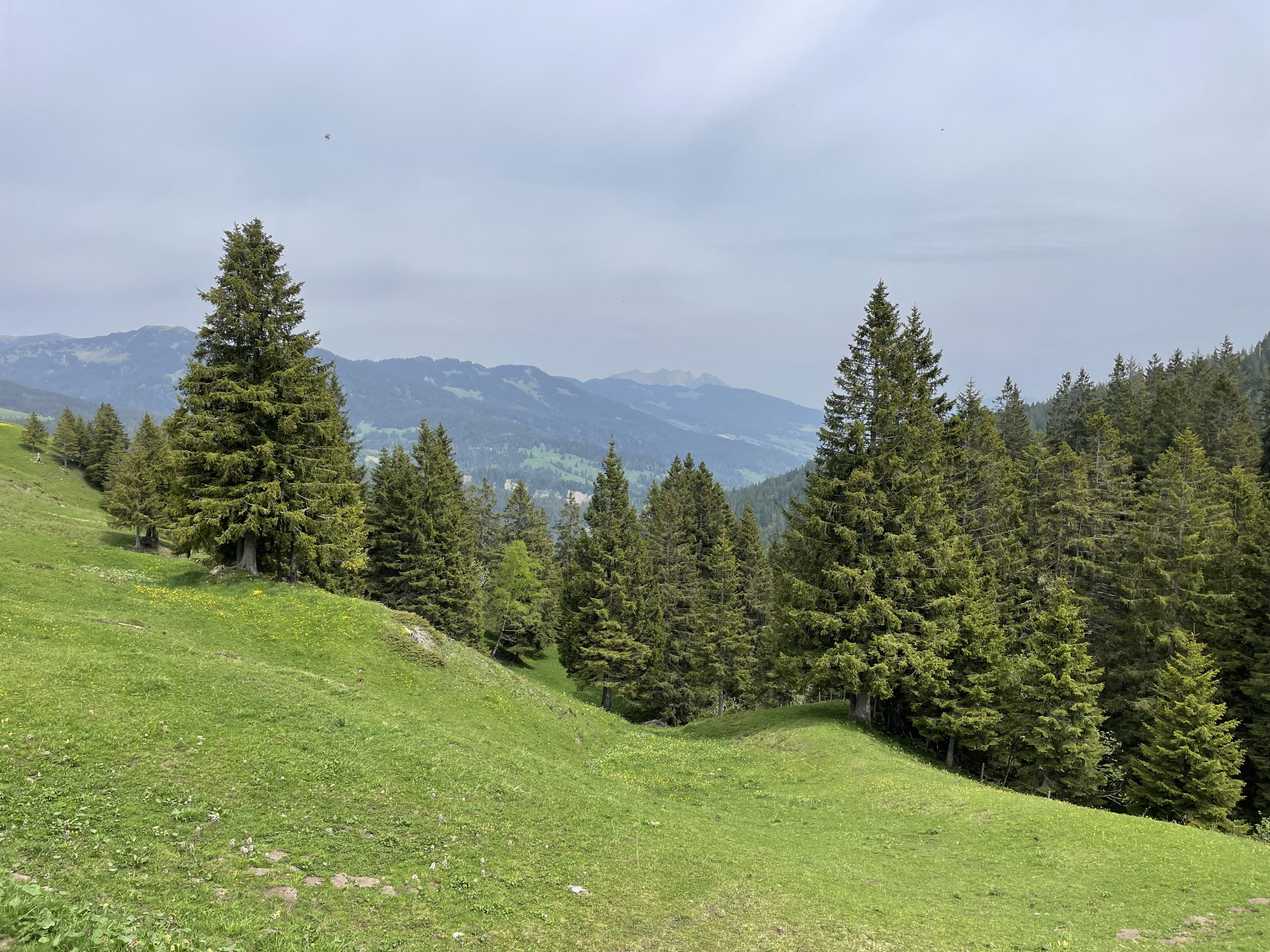 B3D611D7-3625-4165-B7D0-F31CE521518F.jpeg