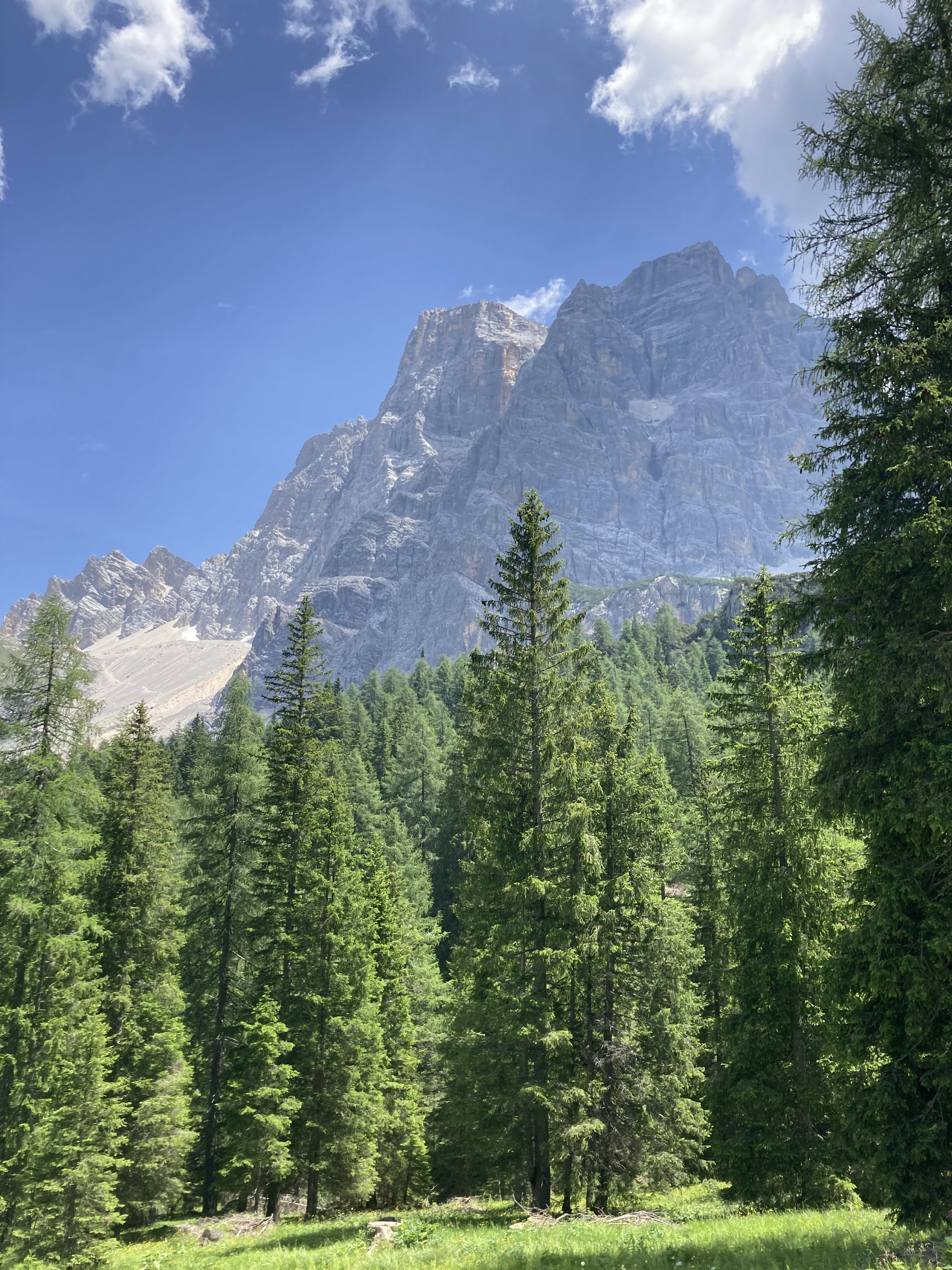 B61DAF76-F720-41DE-A9FE-DDD39089C9C4.jpeg