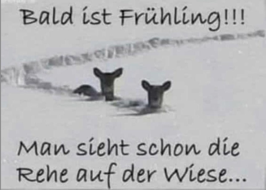 Bald ist Frühling.jpg