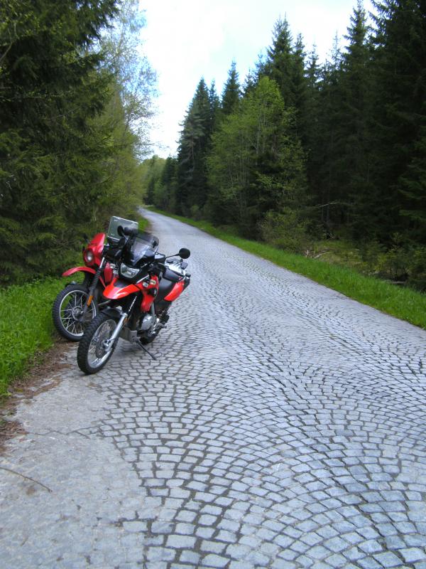 Bayerischer Wald, CZ 20.05.2013 006.jpg