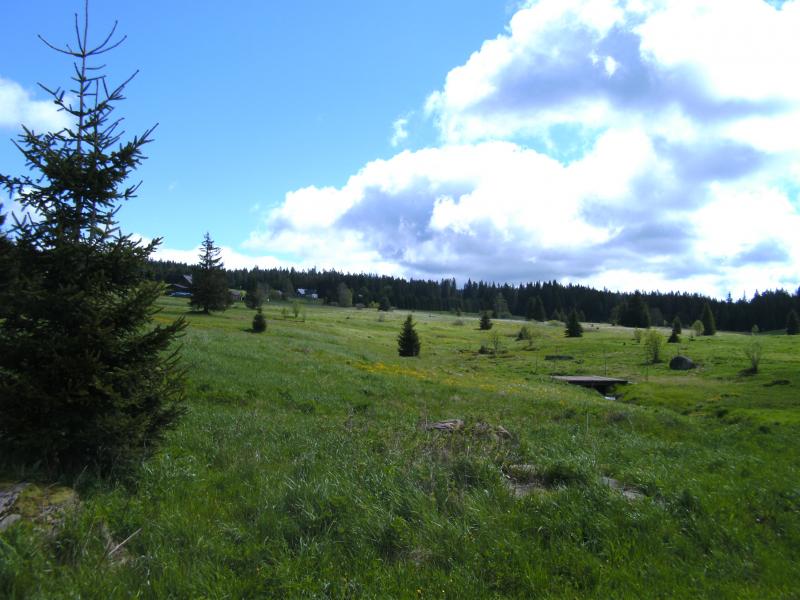 Bayerischer Wald, CZ 20.05.2013 007.jpg