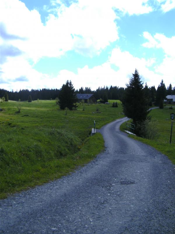 Bayerischer Wald, CZ 20.05.2013 008.jpg