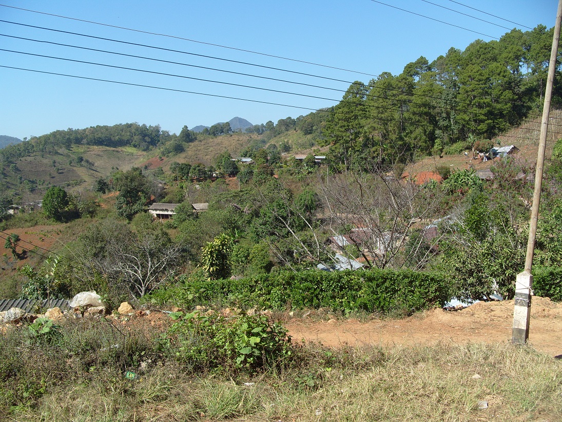 berg02.jpg