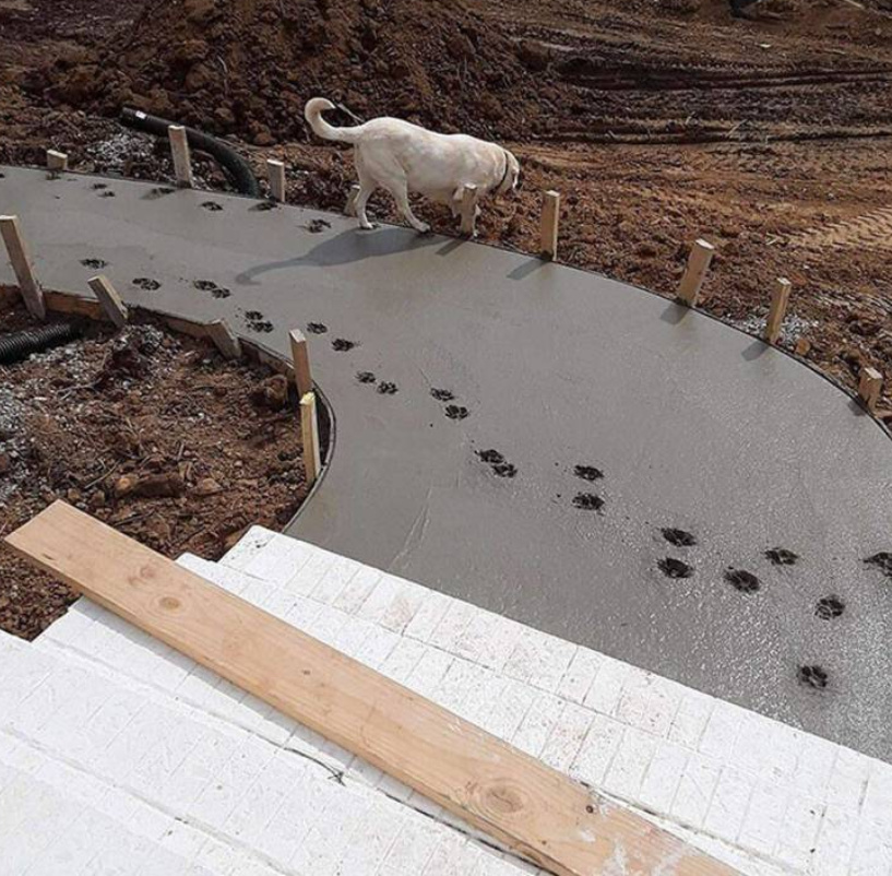 beton hund.jpg