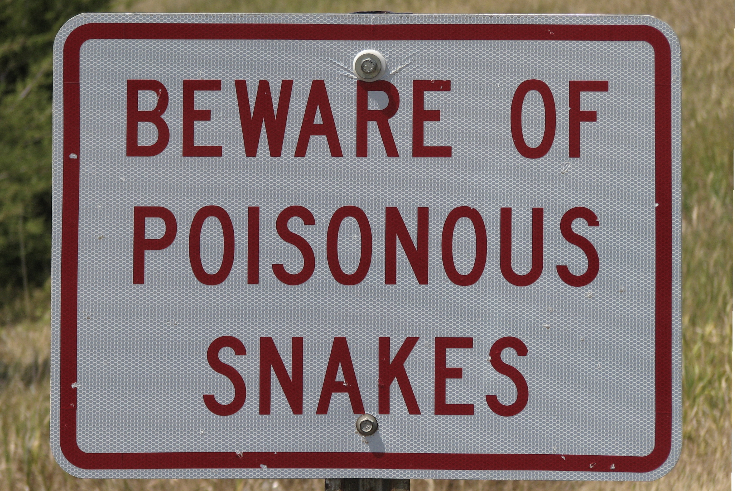 Beware_of_Poisonous_Snakes_4888578859.jpg