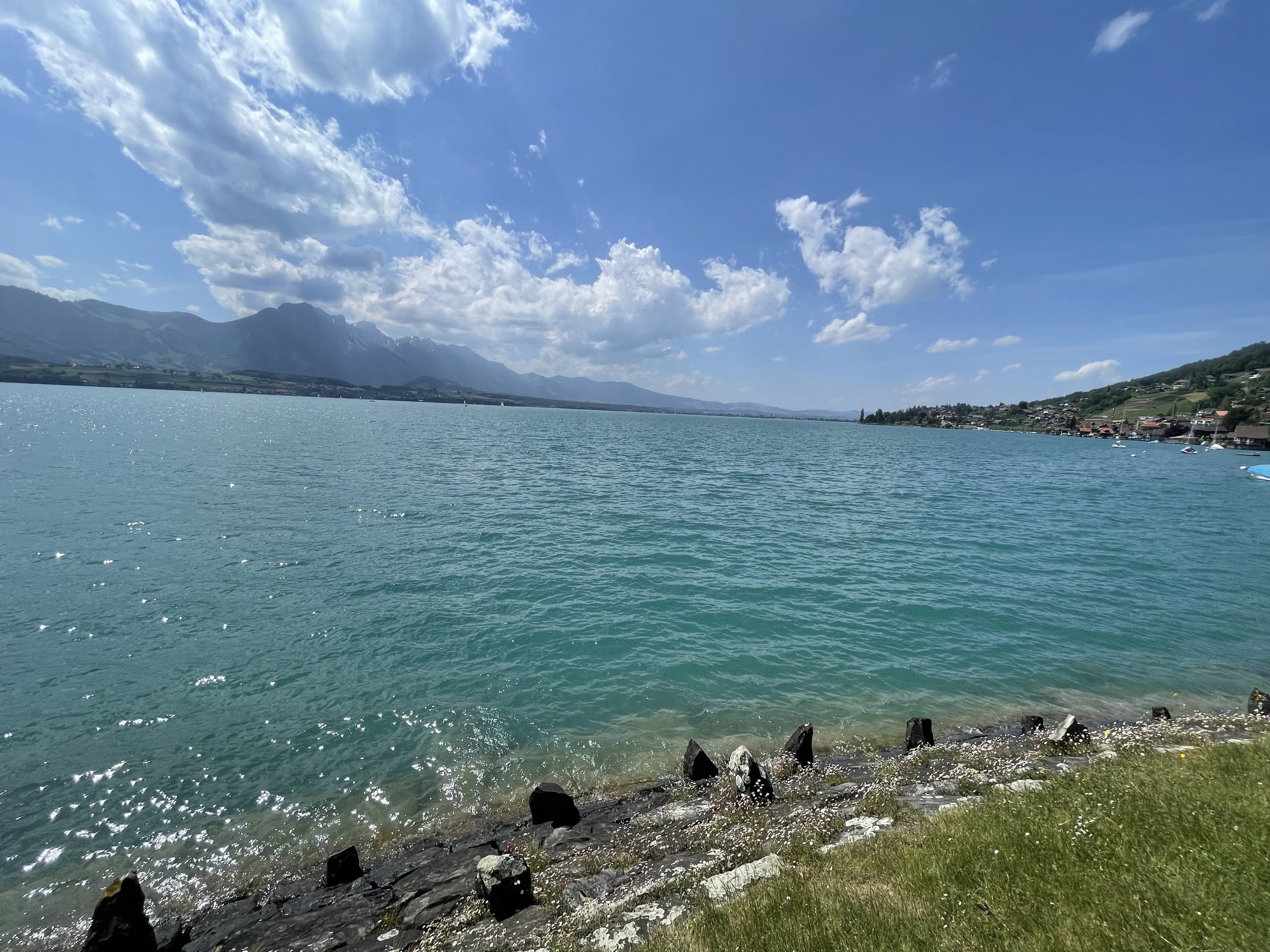 BF256375-BE43-4AB2-A8BC-422B0FC43FE5.jpeg
