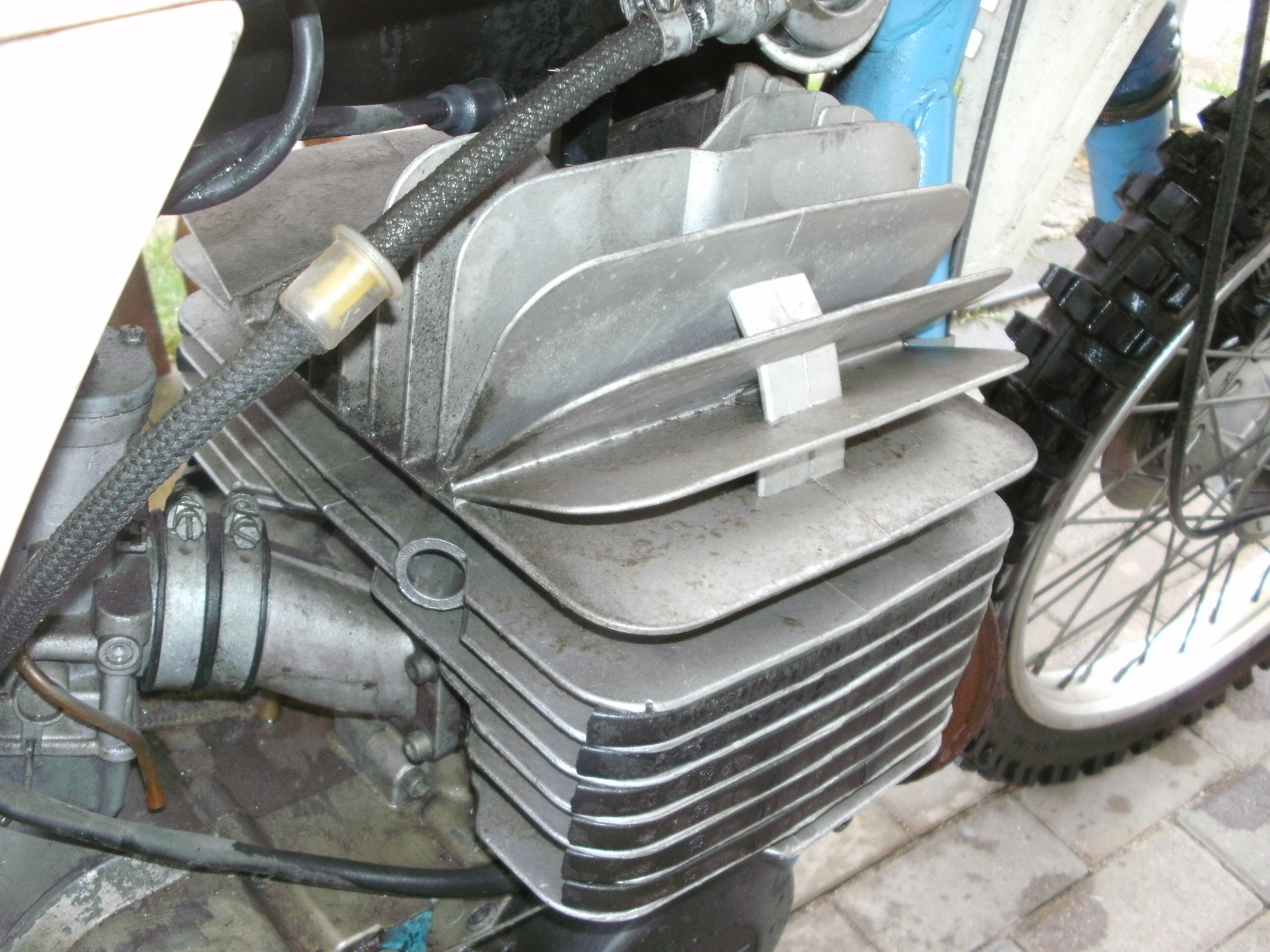 BILD0351.JPG