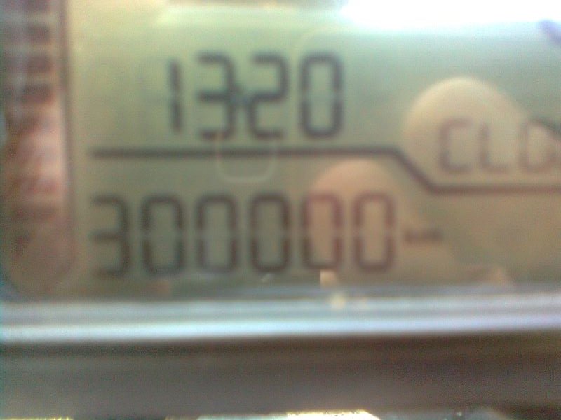 Bild0512k.jpg