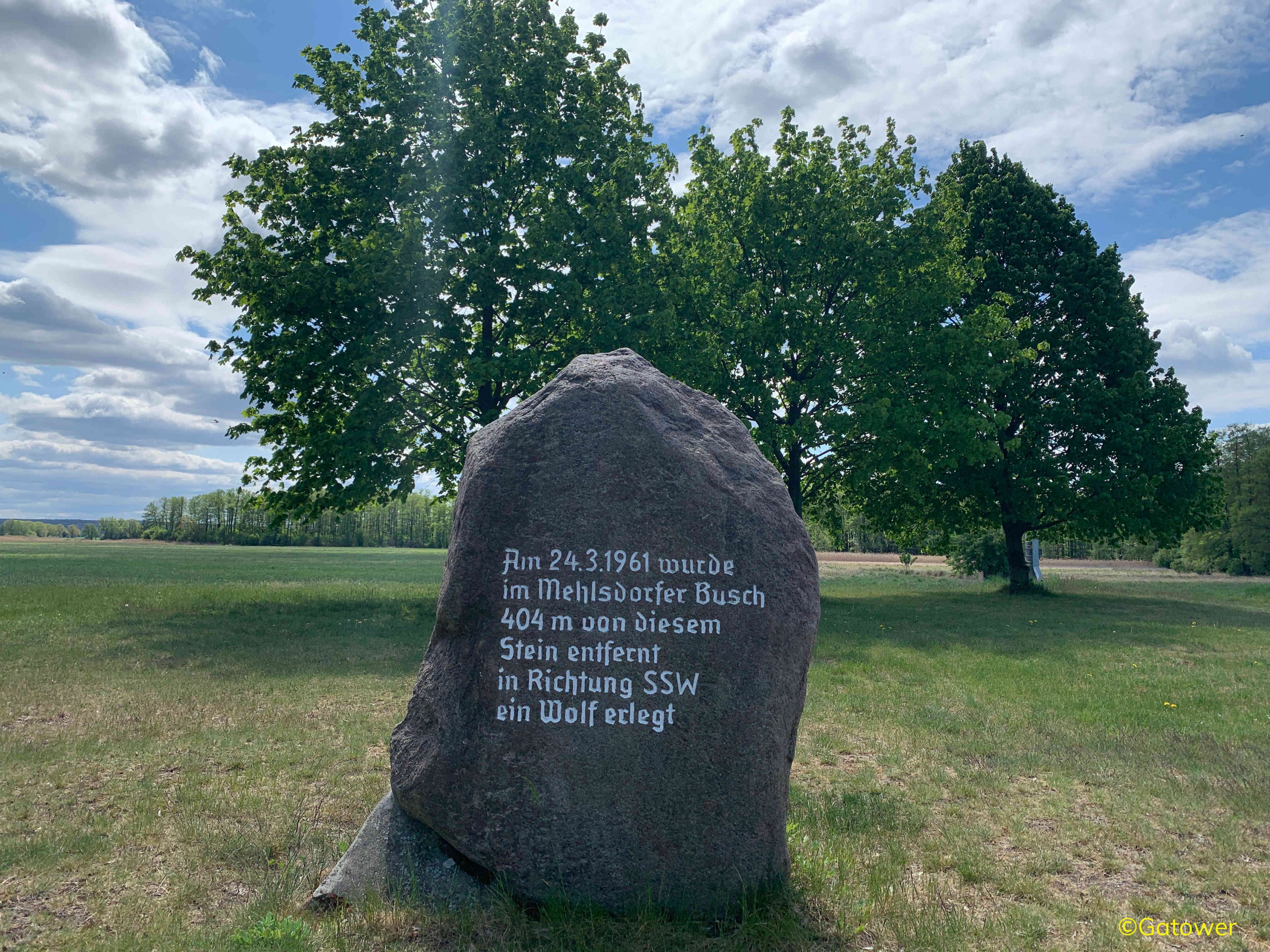 Bild1.JPG