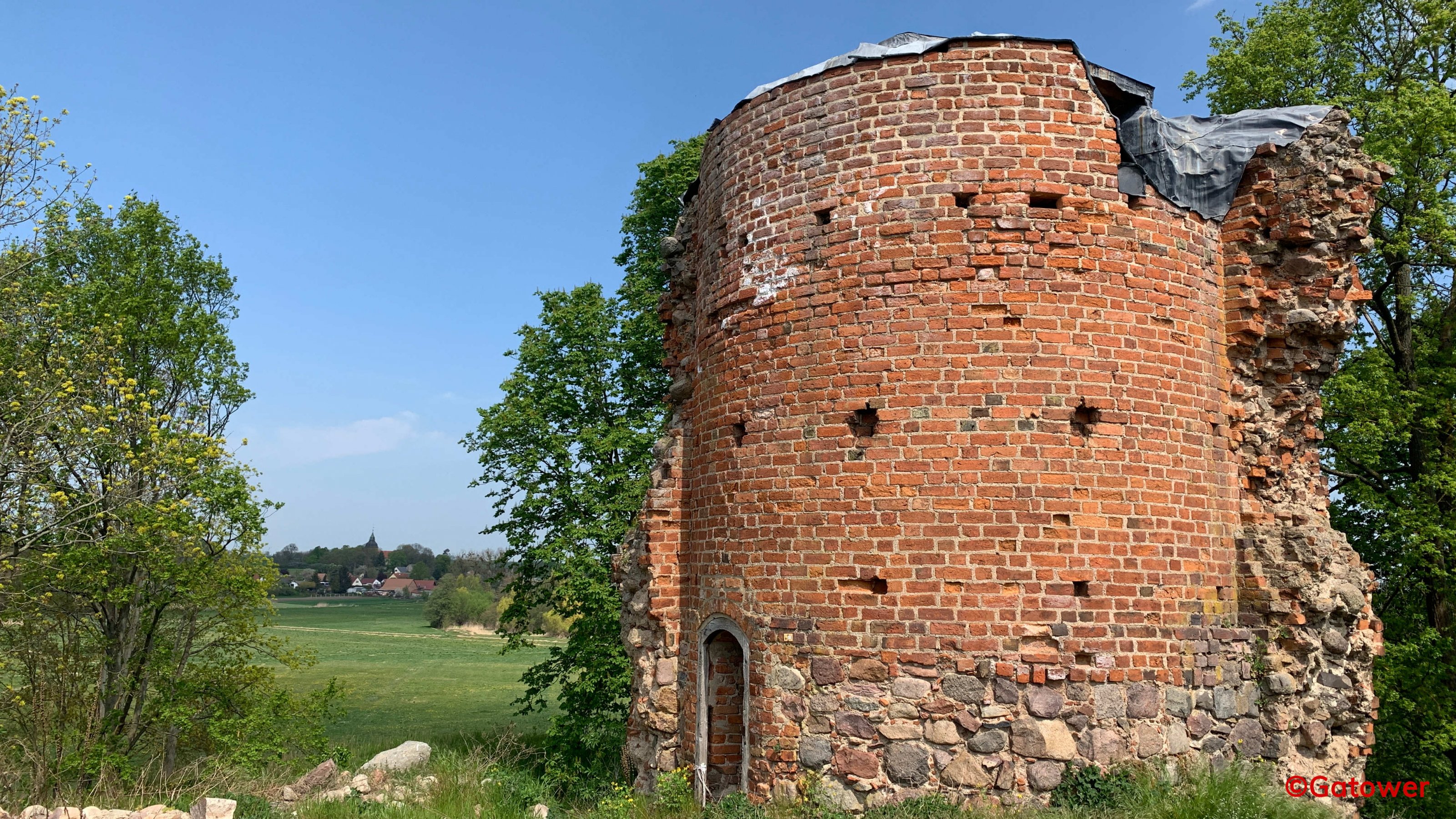 Bild5.jpg