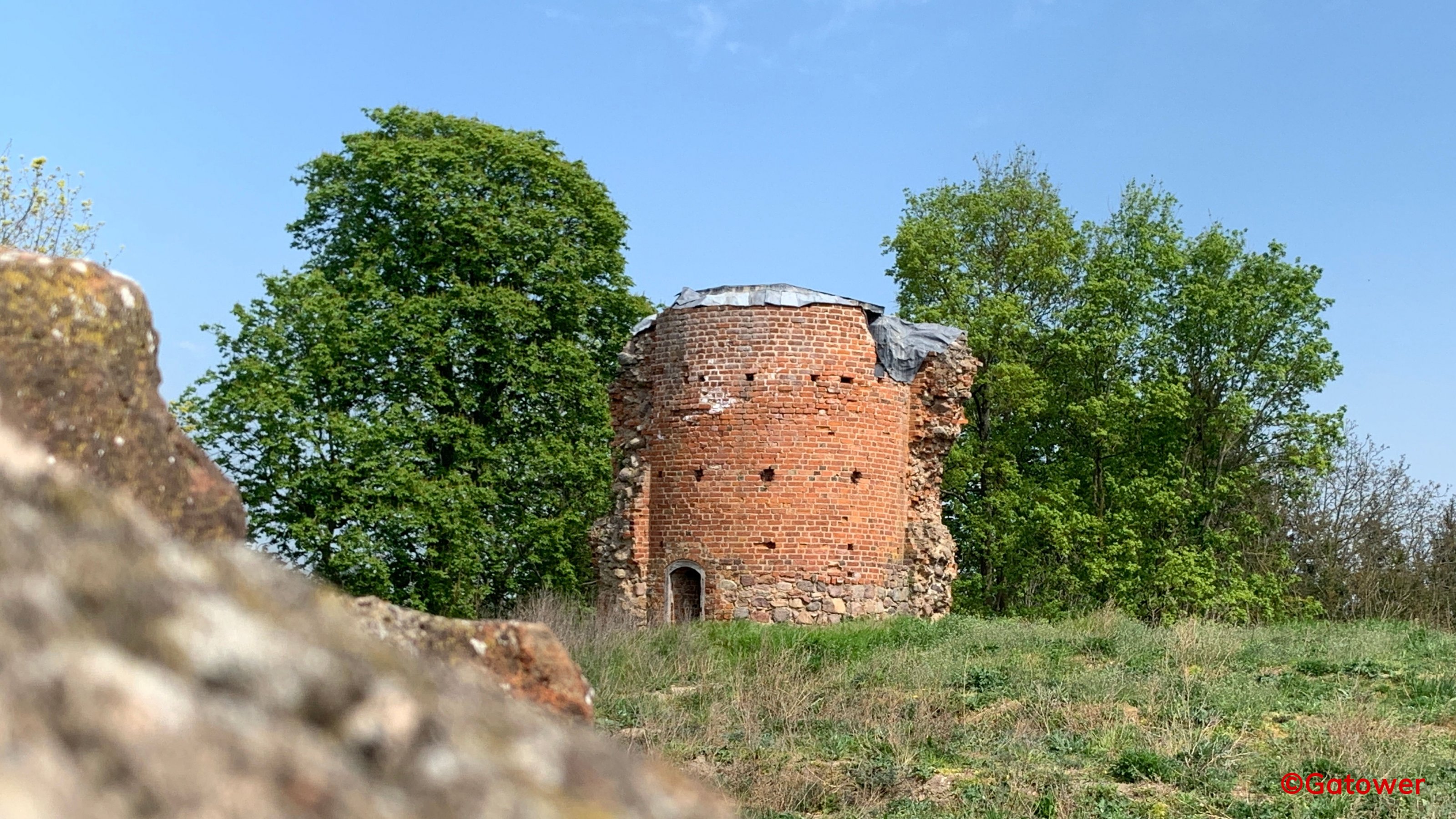 Bild8.jpg