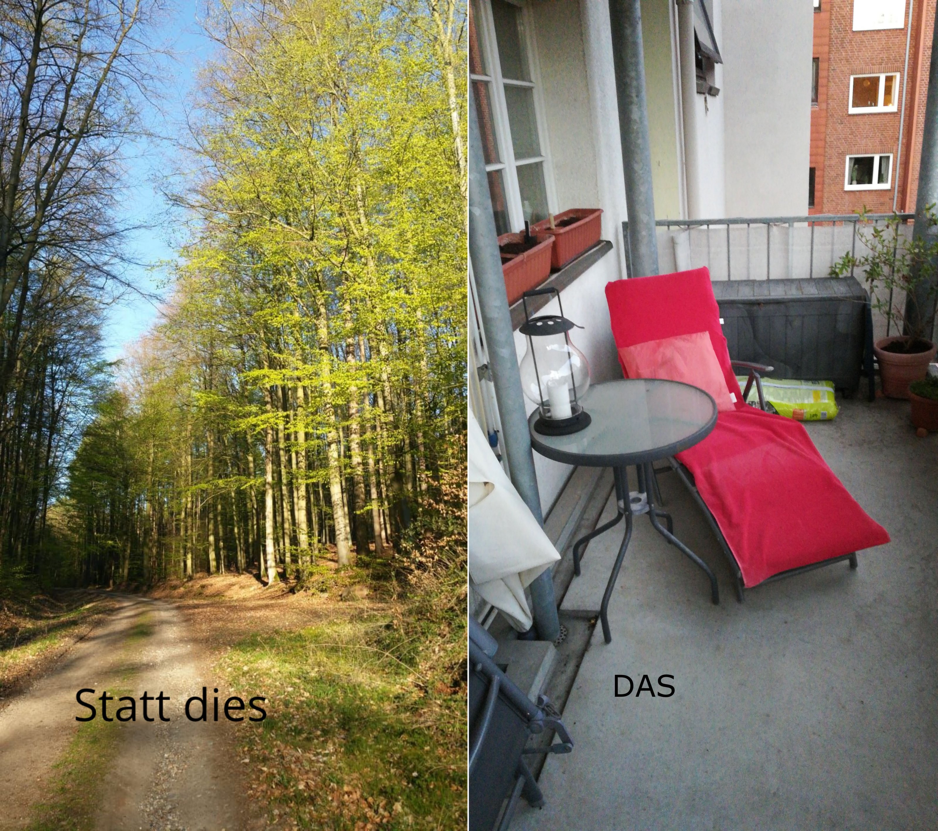 Bilder aneinanderreihen.jpg