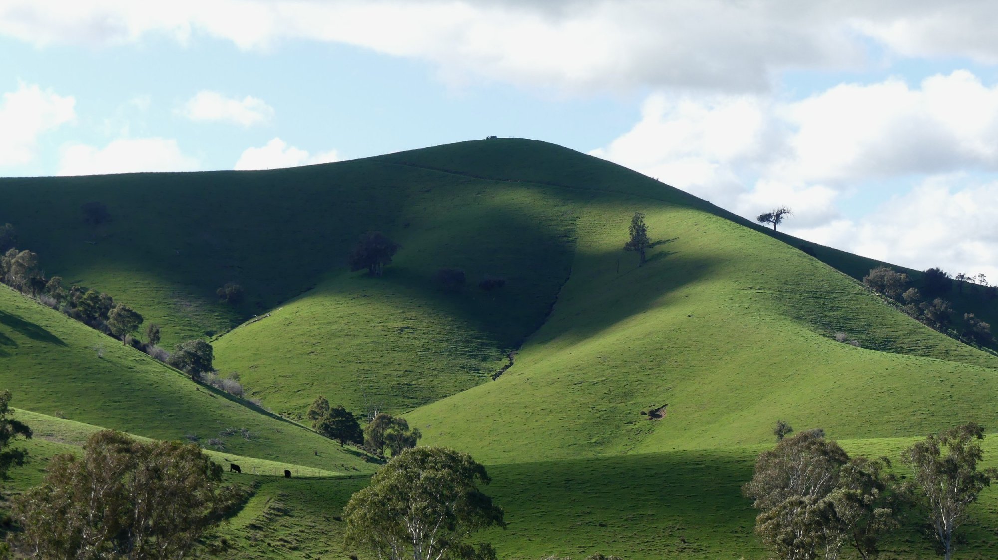 BonnieDoon_76.jpg