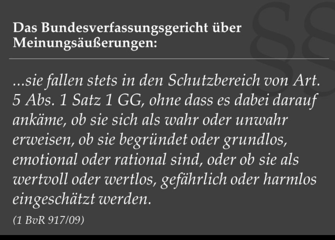 BVerfG.png