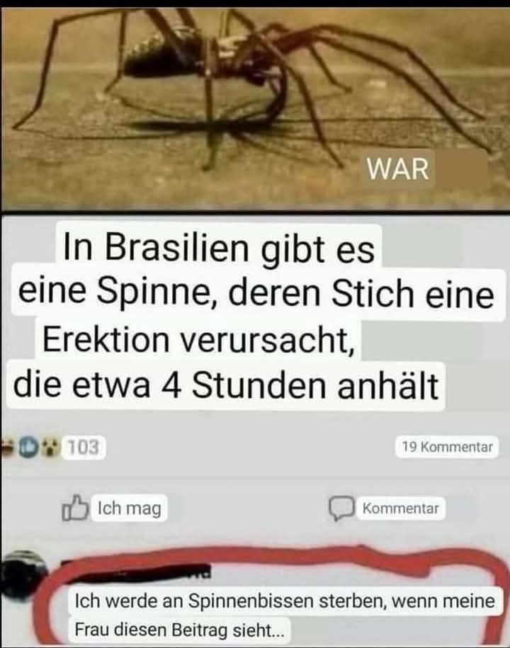 c70a9114-2241-49ff-aebf-a2bcbd368cfe.jpeg