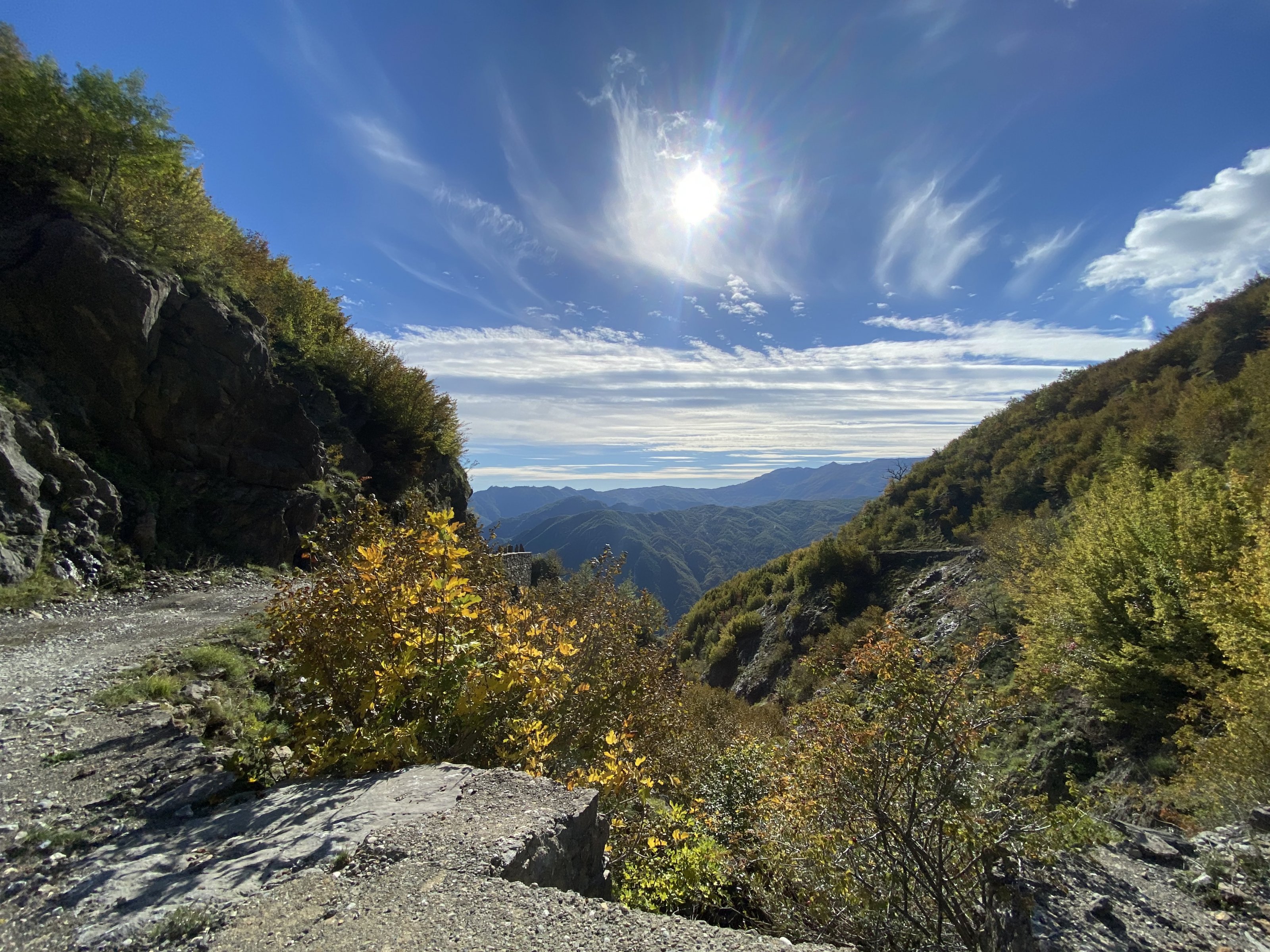 CA8647F0-BBD7-4691-8501-F7D8D084DD43.jpeg